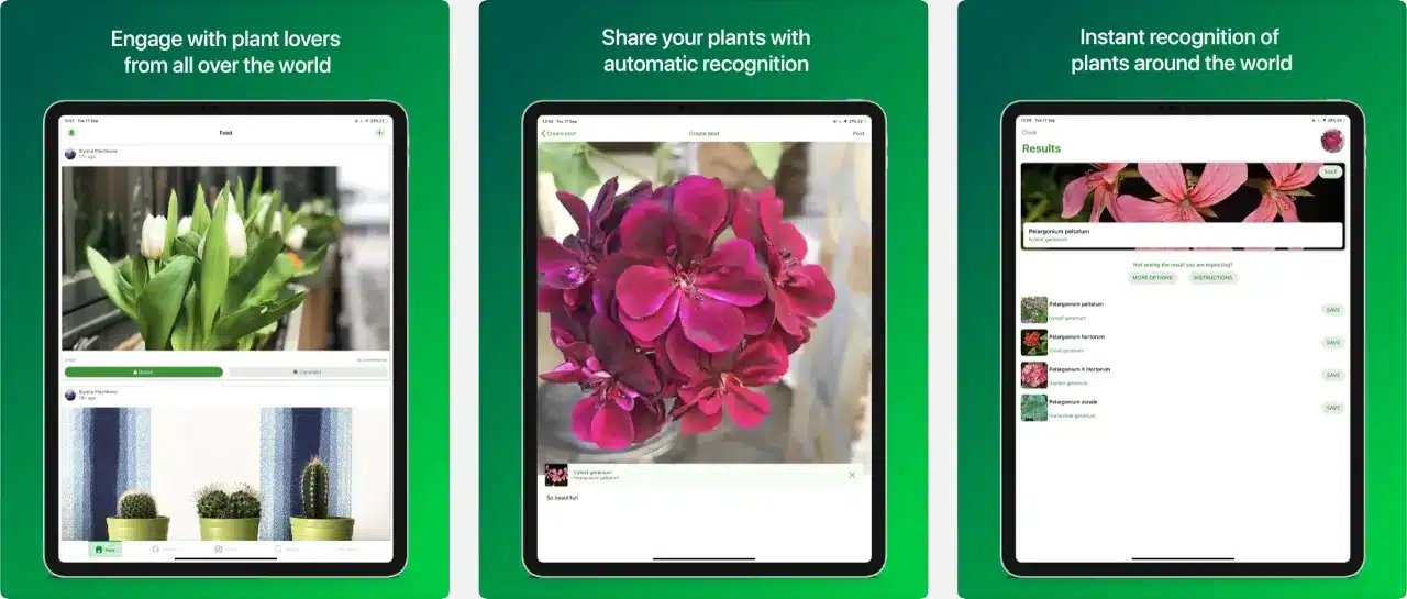 Interface of PlantSnap on iPhone available for Android, Windows and MacOS.